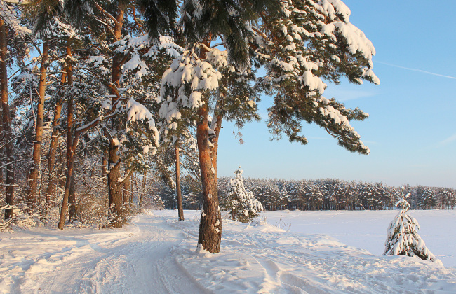 морозный февраль