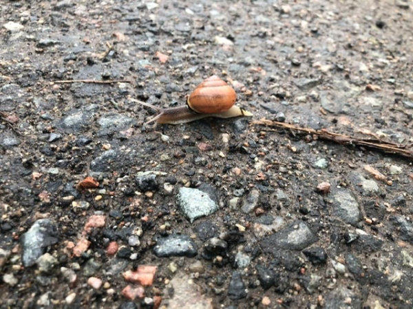 &