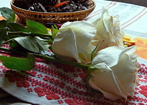 Три белых розы