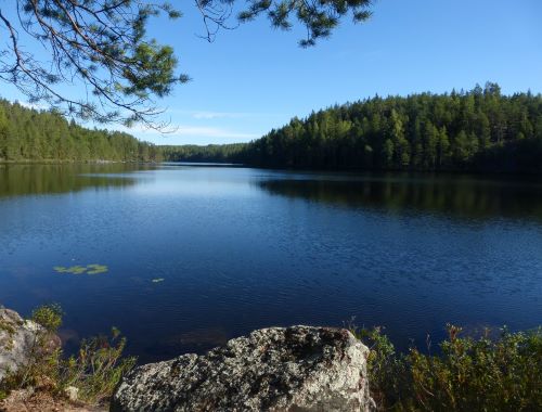 Синие воды