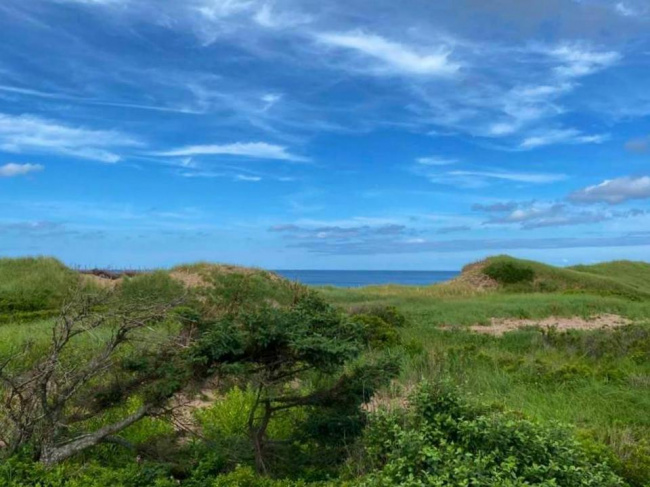 Национальный парк дюн Кавендиш