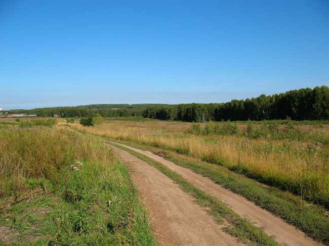 Дорога через поле