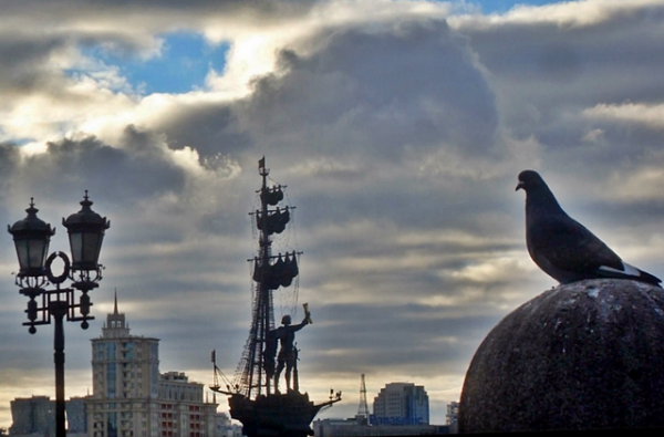 Утро в городе