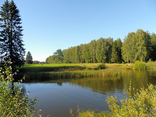 Павловский пейзаж