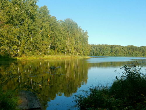 Летнее озеро