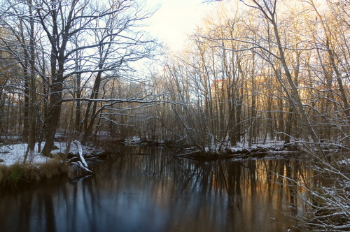 Каприз осени
