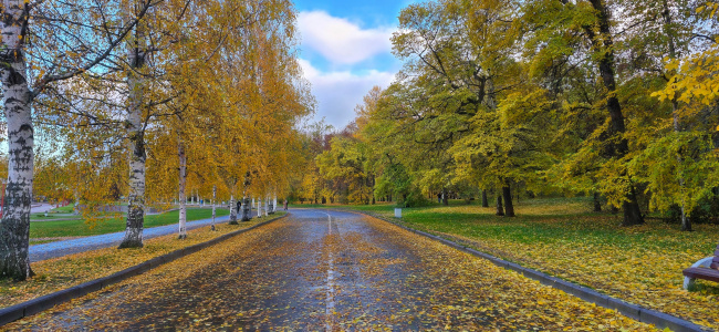 Прогулка в осень