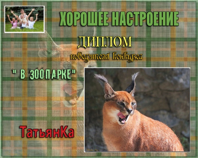 " В ЗООПАРКЕ"
