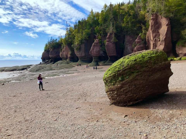 А через несколько часов этот камень будет снова под водой...