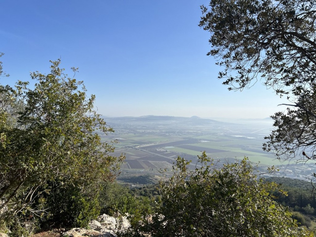 Голанские высоты