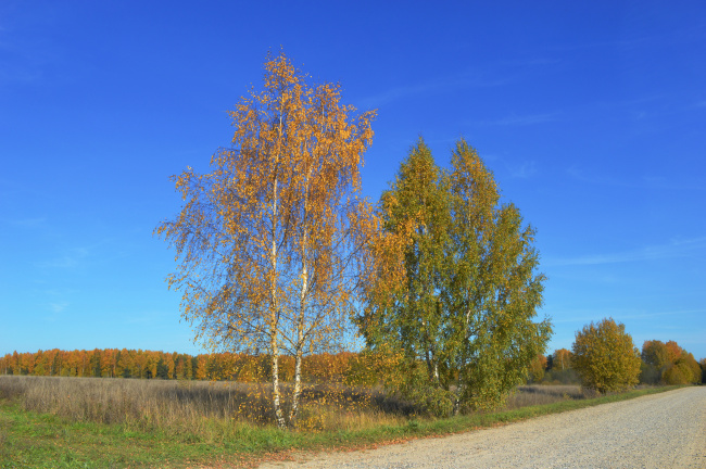 Осенний пейзаж.