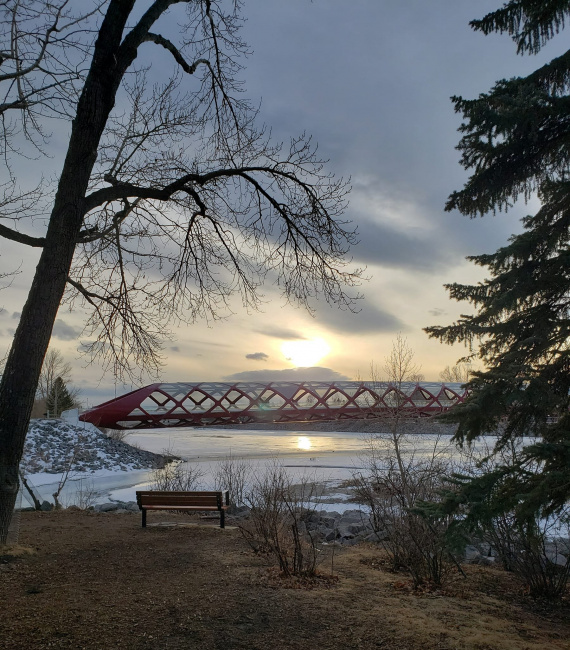 Скамейка с видом на железнодорожный мост