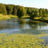 Летняя Славянка