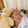 Мои мягкие игрушки
