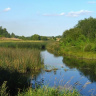 Река Тосна