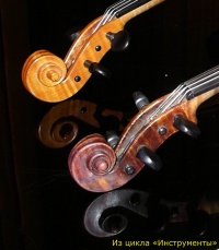 2cello