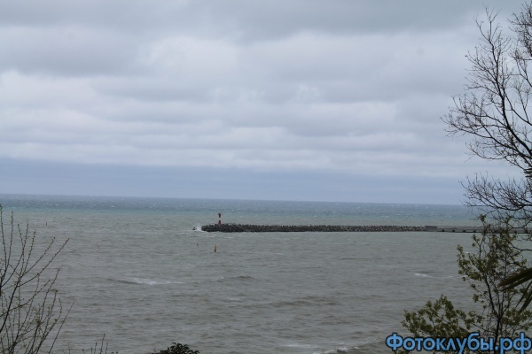 IMG_9098.JPG