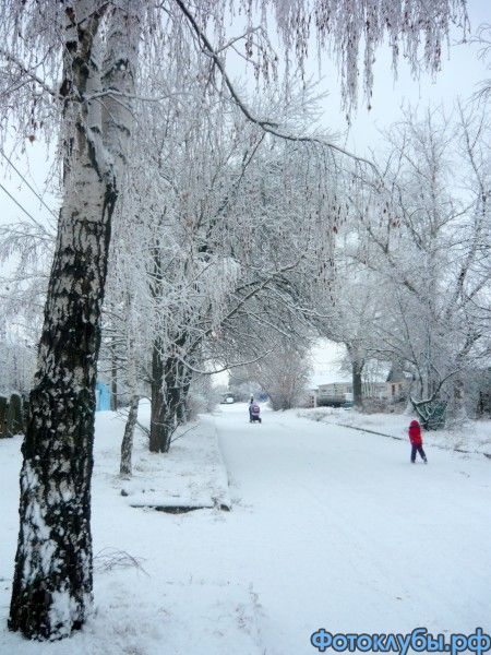 Заснеженная нежность