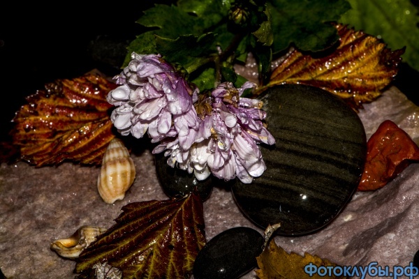 DSC_8469.jpg