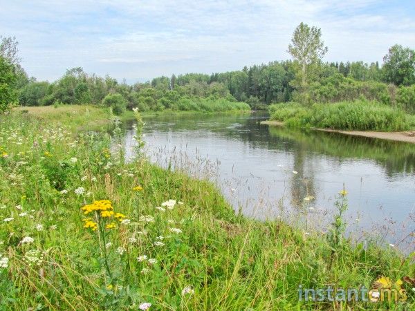 Течёт извилисто река