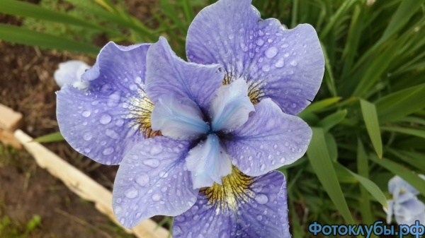 20150708_192456.jpg