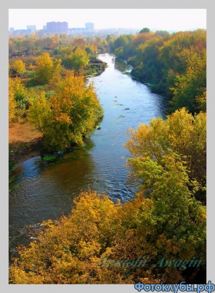 Пехорка в золотых берегах