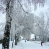 Заснеженная нежность