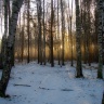 CIMG6446-1.jpg