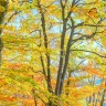 Осень в Крыму