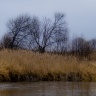 CIMG6263-1.jpg