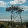 DSCN1403.jpg