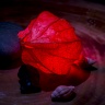 DSC_8298.jpg