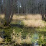 DSC_8748-11.jpg