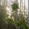 CIMG6494-2.jpg