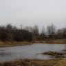 CIMG6311-1.jpg