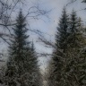 DSC_9239.jpg