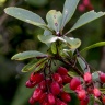 DSC_5919.jpg