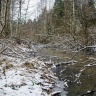 DSC_8531-2.jpg