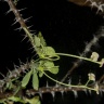 DSC_8879.jpg