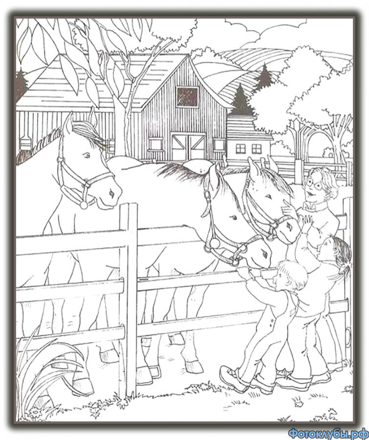 ЧТО И ГДЕ ? ГДЕ И ЧТО ?