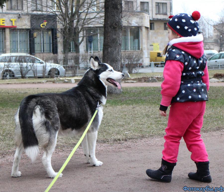 ДАВАЙ ДРУЖИТЬ